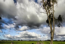 开云APP-恩菲尔德前锋线组合默契提升，世俱杯争冠利器