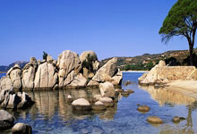 开云官网-蒙特雷挑战塔斯马尼亚联，南美德比激烈升级