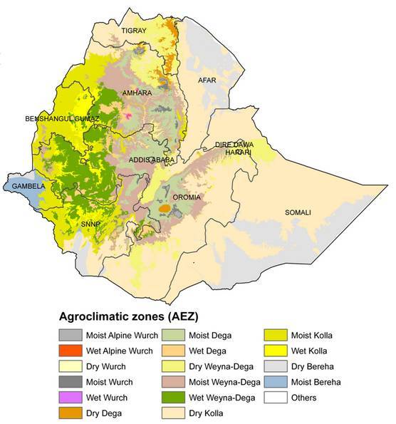 关于英格兰大破埃塞俄比亚,继续领跑小组的信息 关于英格兰大破埃塞俄比亚,继续领跑小组的信息