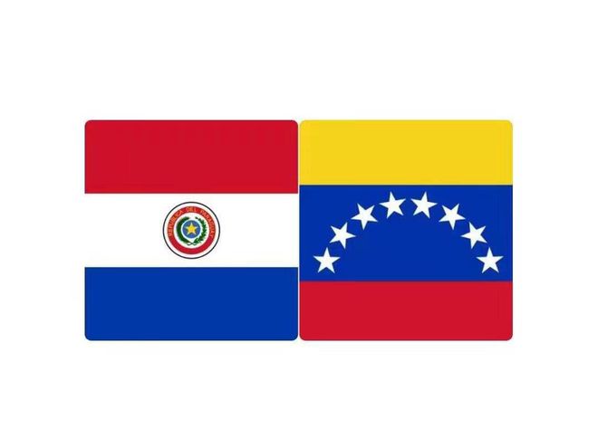 开云体育登录-委内瑞拉队获得南美篮球锦标赛季军