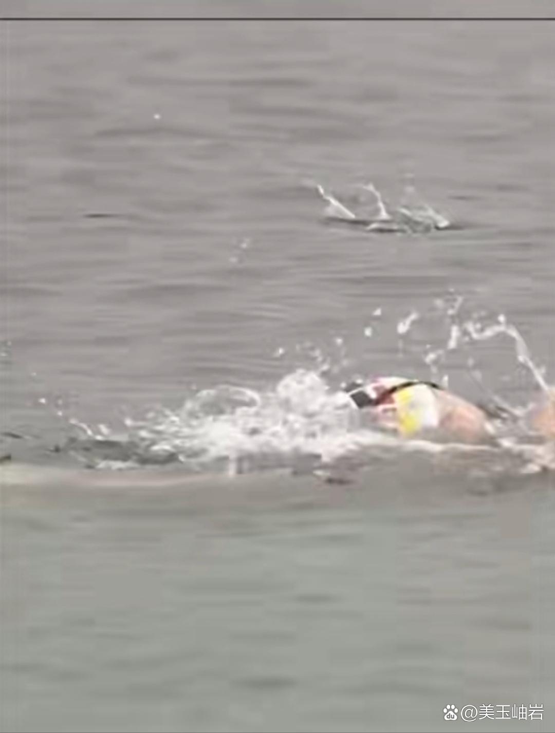 新加坡游泳选手突破个人记录 新加坡游泳选手突破个人记录