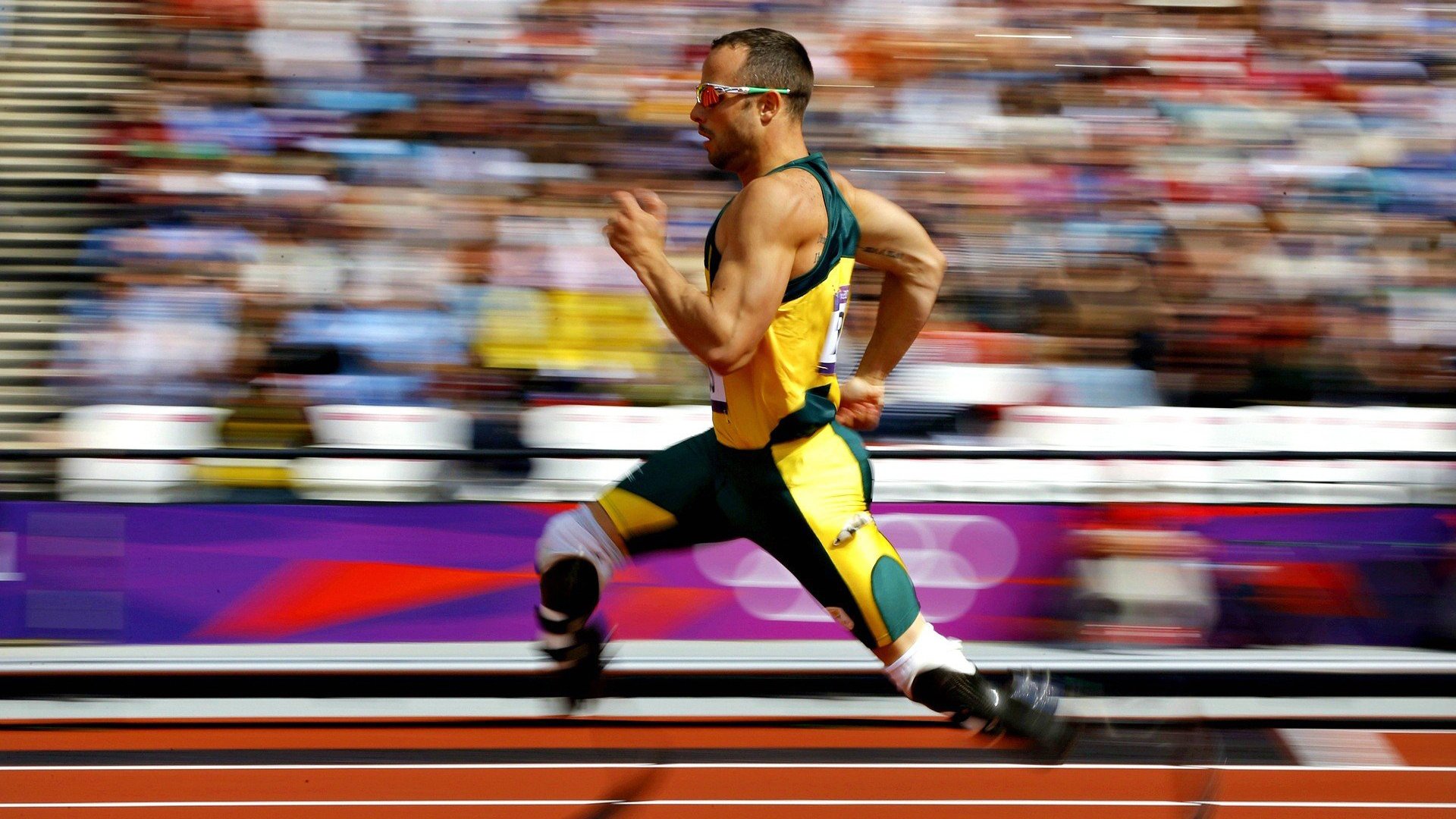 开云体育官方网站-双面君王，德约科维奇在澳网的炽热炼狱与温网的翡翠棋局中完成终极征服